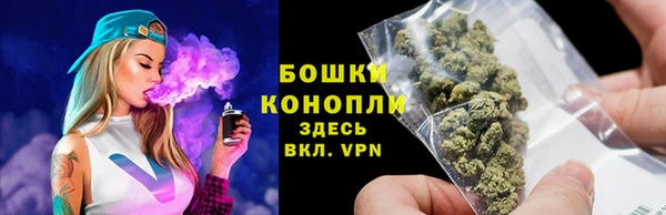 бошки Шадринск