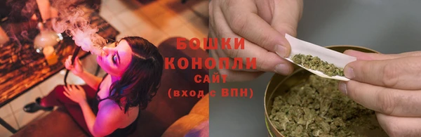 прущие крисы Карпинск