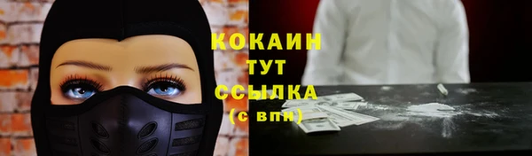 стаф Карталы