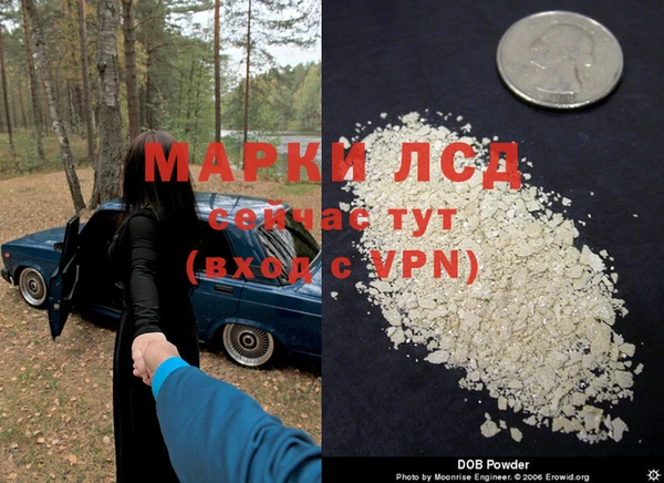 стаф Карталы