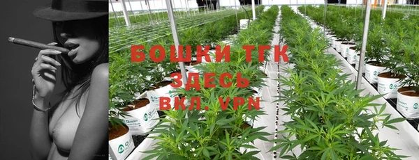 прущие крисы Карпинск