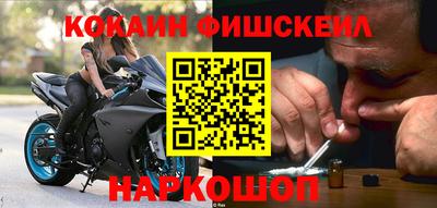 индика Кингисепп