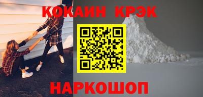 индика Кингисепп