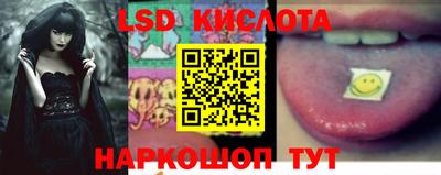 индика Кингисепп