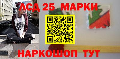 индика Кингисепп