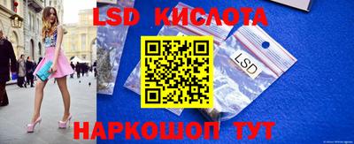 индика Кингисепп