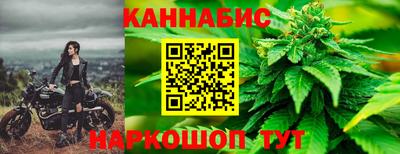 дживик Бийск