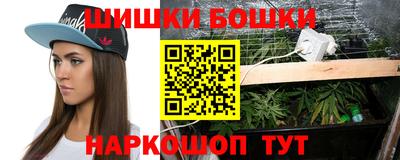 индика Кингисепп