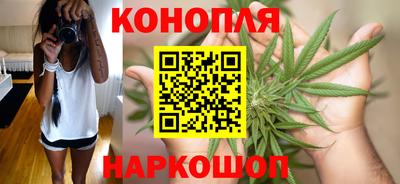 индика Кингисепп