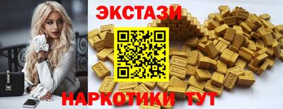индика Кингисепп