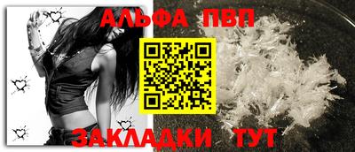 индика Кингисепп