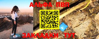 индика Кингисепп