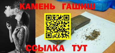 индика Кингисепп