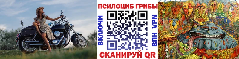 Галлюциногенные грибы прущие грибы Шебекино