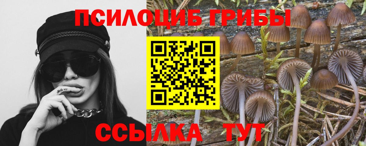 Псилоцибиновые грибы MAGIC MUSHROOMS Шебекино