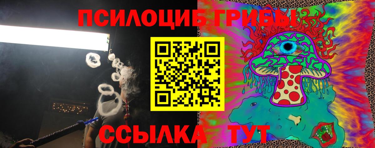 Галлюциногенные грибы Cubensis  Галлюциногенные грибы Psilocybe  Шебекино 